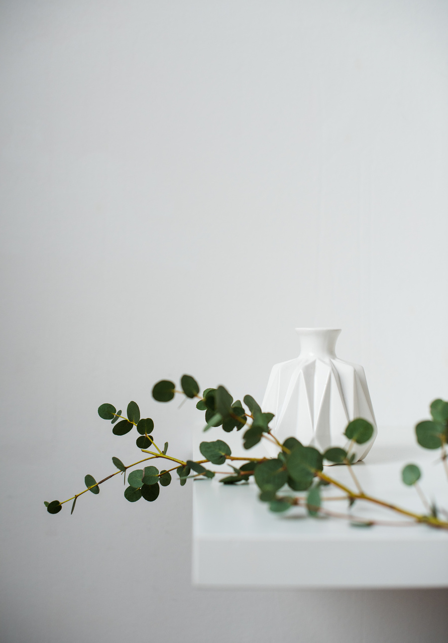 Minimalist Still Life, Green Eucalyptus Branch and Emty Ceramic Vase on White Table by White Wall